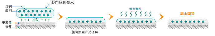 水性颜料墨水的固着方法